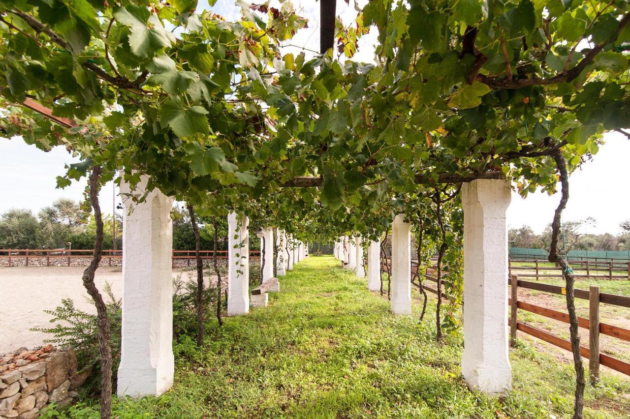 Tenuta Aphrodite Racale Exterior photo